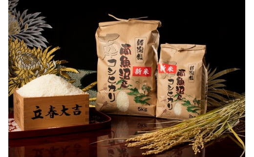 【令和7年産 新米予約】【高級】南魚沼塩沢産こしひかり5kg(無洗米)【令和7年10月中旬以降発送】【米 お米 こしひかり 南魚沼 米 無洗米 こめ 新潟 米】 441242 - 新潟県南魚沼市