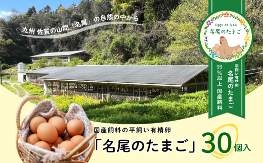 国産飼料の平飼い有精卵「名尾のたまご」30個入：B135-013