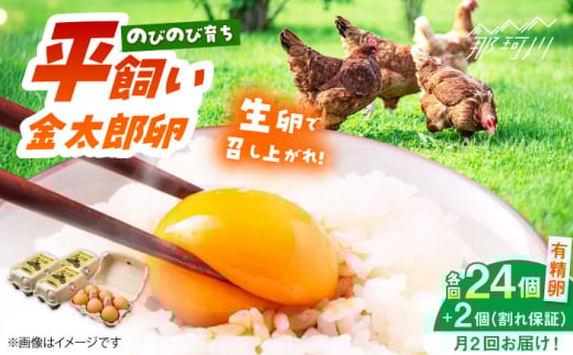 ＼月2回発送／【TVで紹介！】【鮮度ＡＡ級の世界最高ランク！】金太郎卵 平飼い たまご 計48個(24個×月2回)＜有限会社フジノ香花園＞那珂川市 卵 たまご 平飼い 新鮮 平飼い卵 国産 玉子 鶏卵 [GAM038] 1987880 - 福岡県那珂川市
