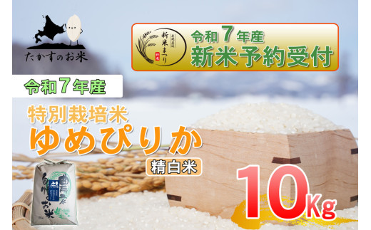 【令和7年産】 ゆめぴりか (精白米) 特Aランク 北海道 米 を代表する人気の品種 10kg 【2025年10月上旬発送開始】 北海道 鷹栖町 たかすのお米 米 コメ こめ 1360303 - 北海道鷹栖町
