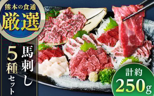 馬刺し 5種 盛り合わせセット 5人前 約250g 熊本直送【株式会社Foody's】 [YDX001] 2089225 - 熊本県山都町