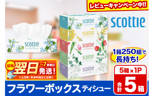 スコッティ ティッシュペーパー フラワーボックス 5箱×1パック【レビューキャンペーン中】 秋田市オリジナル 2087939 - 秋田県秋田市