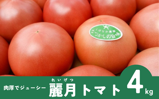トマト 4kg 20玉～28玉 麗月 くぼなか農園 | B362 1552677 - 愛媛県伊予市