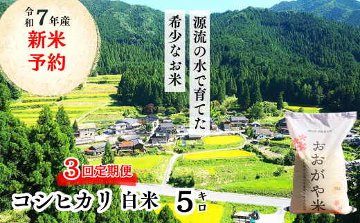 【3回定期便】白米 5kg 令和7年産 コシヒカリ 岡山 「おおがや米」生産組合 G-af-BECA 1329227 - 岡山県西粟倉村