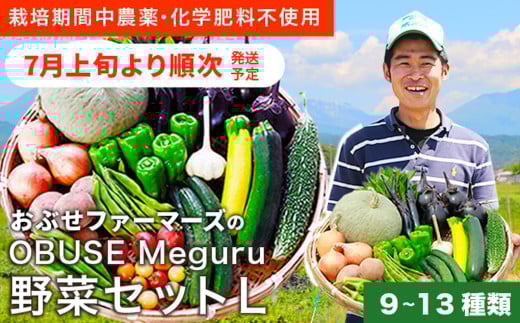  ［栽培期間中農薬・化学肥料不使用］OBUSE Meguru 野菜セット L 9～13種類 ［おぶせファーマーズ］野菜 詰め合わせ  おまかせ やさい 詰合せ お楽しみ 長野県産 信州 令和7年産 【2025年7月上旬より順次発送】  ［FY-3］