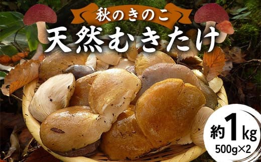 秋のきのこ 天然むきたけ 約1kg(500g×2袋)