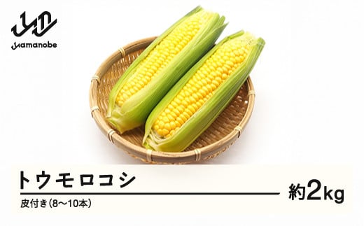≪先行予約≫ 2025年 山形県産 トウモロコシ 2kg以上（8~10本）皮付き 2025年7月下旬から順次発送 野菜 とうもろこし F21A-369 880673 - 山形県山辺町