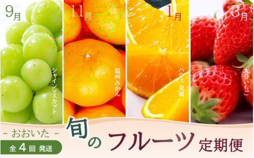 【数量限定】おおいた旬のフルーツ9月から半年間定期便/計4回発送_2553R