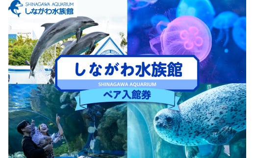 しながわ水族館ペア入館券 1796439 - 東京都品川区