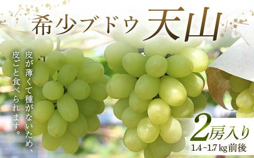 希少ブドウ 天山 2房入り 1.4～1.7kg前後 F2Y-6174
