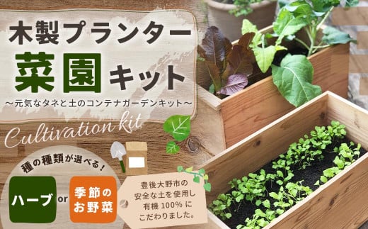 095-715 木製プランター菜園キット~元気なタネと土のコンテナガーデンキット~ ガーデニング