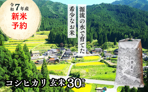 玄米 30kg 令和7年産 コシヒカリ 岡