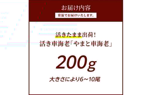 アイテムID:340246の画像3枚目