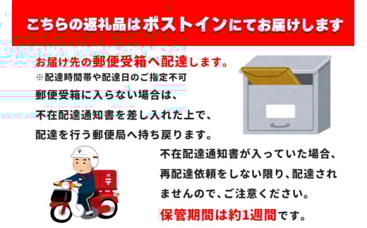 岩手県盛岡市のふるさと納税 鉄分補給に最適 南部鉄器【縄文ちび鉄偶】かわいい遮光器鉄偶 1体 伝統工芸品