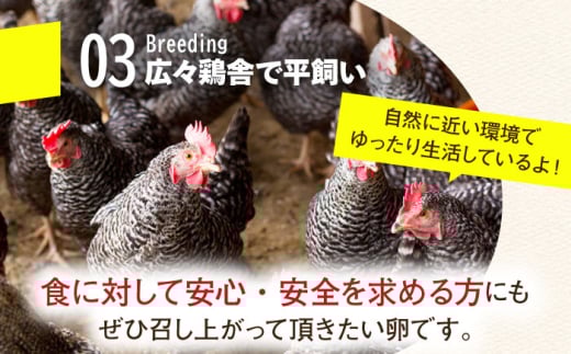 世界レベルの高品質・こだわりぬいた新鮮卵　平飼い 卵 卵かけごはん  専用醤油 セット