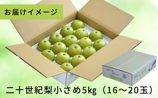 生産者の皆様が丹精込めて育てております。