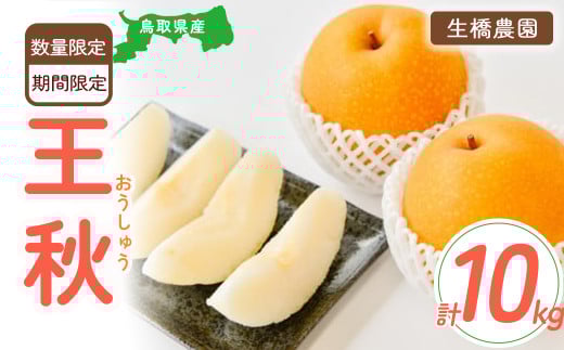 王秋 10kg（生橋農園） 鳥取県産 梨 鳥取 果物 フルーツ 王秋 和梨 先行予約 数量限定 詰め合わせ 今が旬 甘い 人気 2091708 - 鳥取県倉吉市