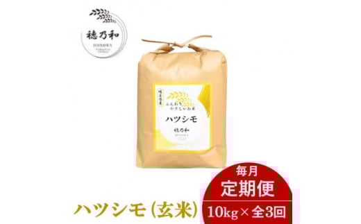 ＜発送月固定定期便＞＜先行予約＞岐阜県産ハツシモ(玄米)10kg全3回【4067040】