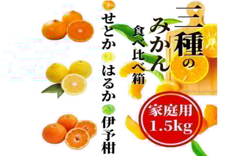 【三種のみかん食べ比べ箱】先行予約 ＜2026年2月から順次発送＞ せとか・はるか・伊予柑 約1.5kg 家庭用　 | 愛媛 みかん 先行予約 蜜柑 柑橘 果物 くだもの フルーツ お取り寄せ グルメ 期間限定 数量限定 人気 おすすめ 愛媛県 松山市