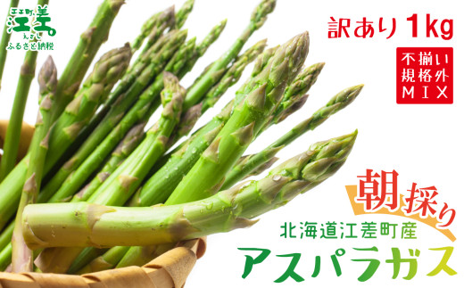 【夏芽 予約受付 6月中旬～順次出荷】《訳あり》2025年 北海道江差町産 アスパラガス 1kg【サイズ不揃い・規格外MIX】　見た目は良くなくても鮮度や味は正規品と変わりません！　朝採り　農家直送　新鮮　鮮度保持　北海道　旬野菜　グリーンアスパラ　アスパラ　ご自宅用　無選別・規格外・ハネ物・B品