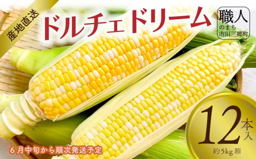 【2025年6月中旬から発送】とうもろこし ドルチェドリーム 12本入り 横田農園 （山梨県市川三郷町産）[5839-2234]