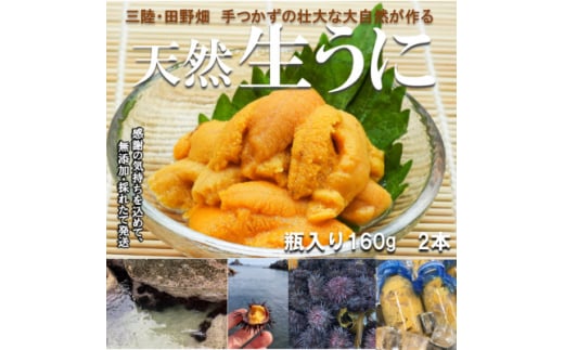 ＜令和7年6月から順次お届け＞　断崖と荒波で育つ岩手・北三陸たのはた　瓶生うに(160g入り2本)【1308104】 2004520 - 岩手県田野畑村