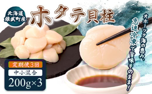 【定期便3回】　北海道雄武町産ほたて貝柱 中小混合 200g×3 (冷凍) 使い切りパック　| ふるさと納税 北海道 雄武 ホタテ 帆立 ほたて 小粒 中粒 大粒 200g×3 1.8kg 冷凍 オホーツク オホーツク産 刺身 魚貝 魚介 海鮮 海産 海産物 魚介類 お取り寄せ ワンストップ マイページ 雄武漁業協同組合【07137】 2090206 - 北海道雄武町