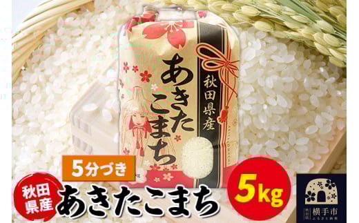 あきたこまち 5kg×1袋【5分づき】令和6年産 秋田県産 こまちライン 1920269 - 秋田県横手市