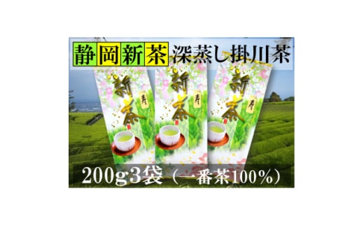 新茶 深蒸し掛川茶 「寿」200g3袋(600g) 産地直送一番茶100%(5月中旬から発送)【1294663】