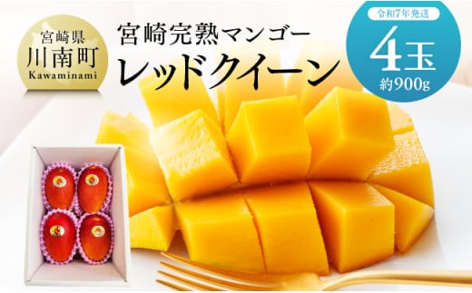 【令和7年発送】宮崎県産完熟マンゴー 「レッドクイーン」4玉(900g) 【 果物 フルーツ マンゴー 宮崎県産 完熟マンゴー みやざきマンゴー 先行予約 数量限定 期間限定 】