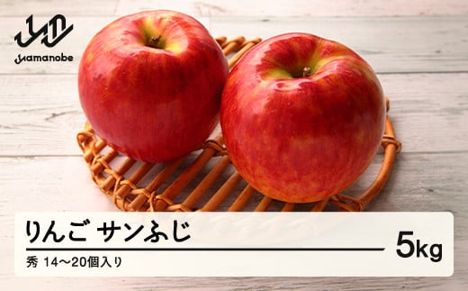 【先行予約】山形県産 りんご サンふじ 秀 5kg (14~20個)  nf-risfs5 1496058 - 山形県山辺町