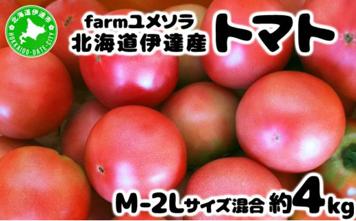 [5525-0711]◆2025年7月から順次出荷◆ farmユメソラ 大玉 トマト 約4kg