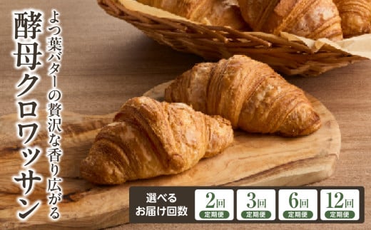 [定期便]よつ葉バターの贅沢な香り広がる♪酵母クロワッサン10個 選べる回数(2回・3回・6回・12回) クロワッサン [065-06-parent]