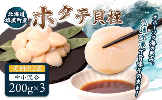 [定期便2回] 北海道雄武町産ほたて貝柱 中小混合 200g×3 (冷凍) 使い切りパック | ふるさと納税 北海道 雄武 ホタテ 帆立 ほたて 小粒 中粒 大粒 200g×3 1.2kg 冷凍 オホーツク オホーツク産 刺身 魚貝 魚介 海鮮 海産 海産物 魚介類 お取り寄せ ワンストップ マイページ 雄武漁業協同組合[07136]