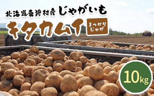 甘くてホクホク！太陽の光をたっぷりと浴びた　北海道真狩村産じゃがいも　キタカムイ「まっかりじゃが」10kg【2025年産】【0116601】 682868 - 北海道真狩村