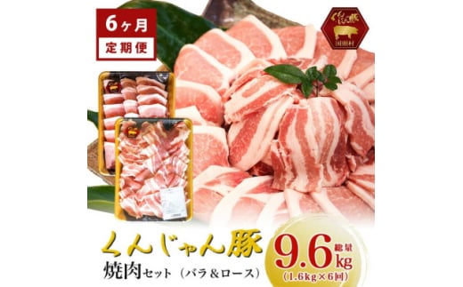 ＜毎月定期便＞くんじゃん豚 焼肉セット(バラ・ロース)計9.6kg全6回【4067077】