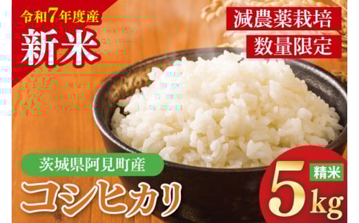 【先行予約】10月中旬から配送【令和7年産新米】コシヒカリ精米5㎏【お米 白米 コシヒカリ こしひかり 茨城県産】(72-01)