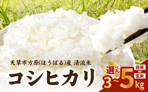 天草市方原産 白米(コシヒカリ)各種[先行受付]