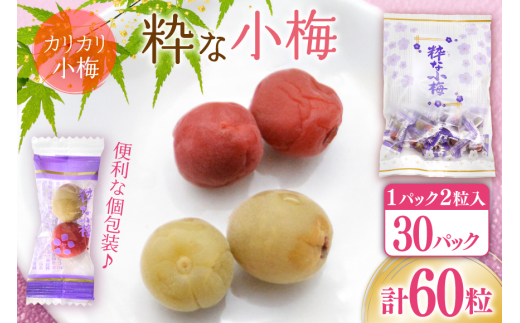 【やばいだろ】粋な小梅 2粒×30 計60粒 [山梨農産食品 山梨県 韮崎市 20743176] 梅干し 梅干 うめぼし 梅 小粒 小梅 カリカリ梅 国産 個包装