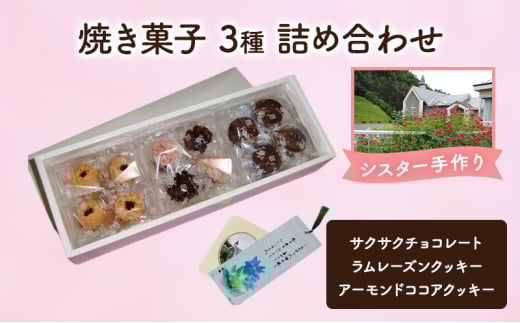 十勝カルメル会シスターが真心こめて作った 焼き菓子 3種 詰め合わせ（サクサク・ラムレーズンクッキー・アーモンドココアクッキー）【 ギフト プチギフト お菓子 お礼 お返し 北海道 十勝 幕別 カルメル イエズス キリスト クッキー 】 [№5749-1548]