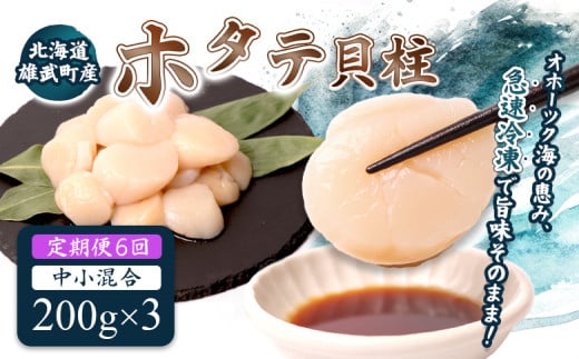 【定期便6回】　北海道雄武町産ほたて貝柱 中小混合 200g×3 (冷凍) 使い切りパック | ふるさと納税 北海道 雄武 ホタテ 帆立 ほたて 小粒 中粒 大粒 200g×3 3.6kg 冷凍 オホーツク オホーツク産 刺身 魚貝 魚介 海鮮 海産 海産物 魚介類 お取り寄せ ワンストップ マイページ 雄武漁業協同組合【07140】 2090209 - 北海道雄武町