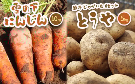 北海道真狩村産　雪の下にんじん約10kgと越冬じゃがいも約5kg Aセット(とうや)  【2026年春お届け分】【0115401】 682387 - 北海道真狩村
