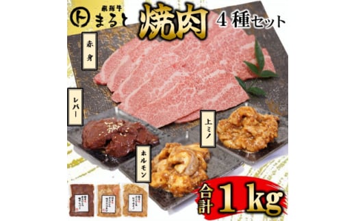 ＜飛騨牛＞焼肉4種セットB-4　赤身焼肉&味付けセット　合計1kg【1616698】