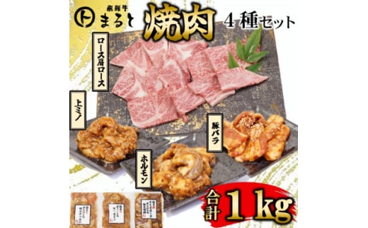 ＜飛騨牛＞焼肉4種セット　ロース・肩ロースと味付けホルモンなど　合計1kg【1616704】