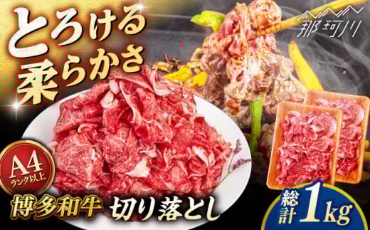 [A4〜A5 等級]博多和牛 切り落とし 1kg (500gx2P) [ヒサダヤフーズ]那珂川市 