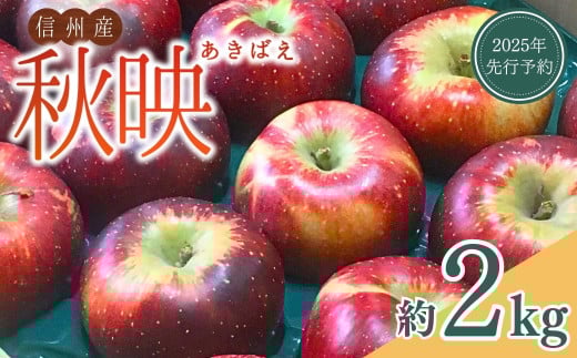 [2025年先行予約]りんご 秋映(長野県オリジナル品種) 太陽の恵みたっぷり 約2kg あきばえ 果物 フルーツ 長野県産 千曲市 信州