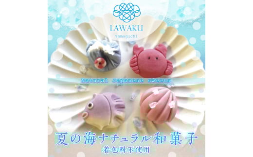 D244 ナチュラル和菓子体験キット（こしあん） 1120158 - 山口県山口市