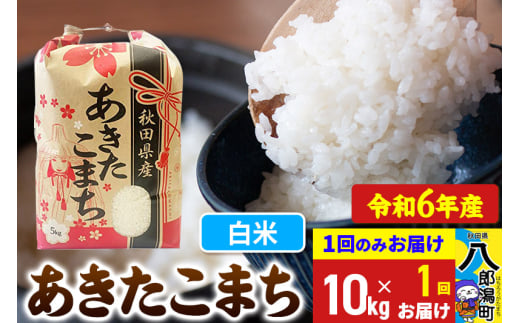 あきたこまち 10kg【白米】令和6年産 秋田県産 こまちライン 1685756 - 秋田県八郎潟町