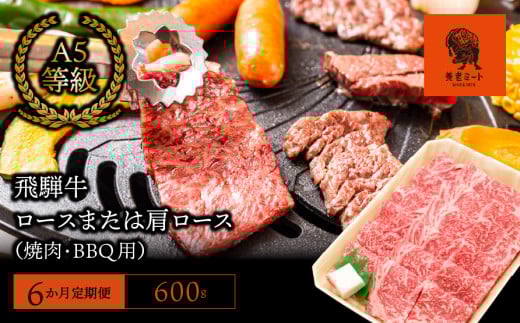 【6か月定期便】【飛騨牛】ロースまたは肩ロース600g (焼肉・BBQ用) 427742 - 岐阜県垂井町