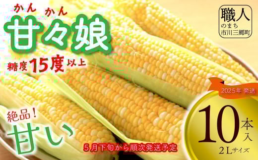 【2025年5月下旬から発送】とうもろこし 甘々娘 10本入り 横田農園 （山梨県市川三郷町産）[5839-2232]